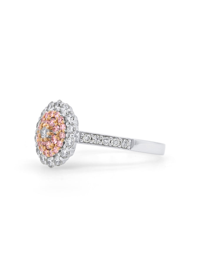Australian 0.51ct Pink Diamond Ring in 18 Carat White & Rose Gold