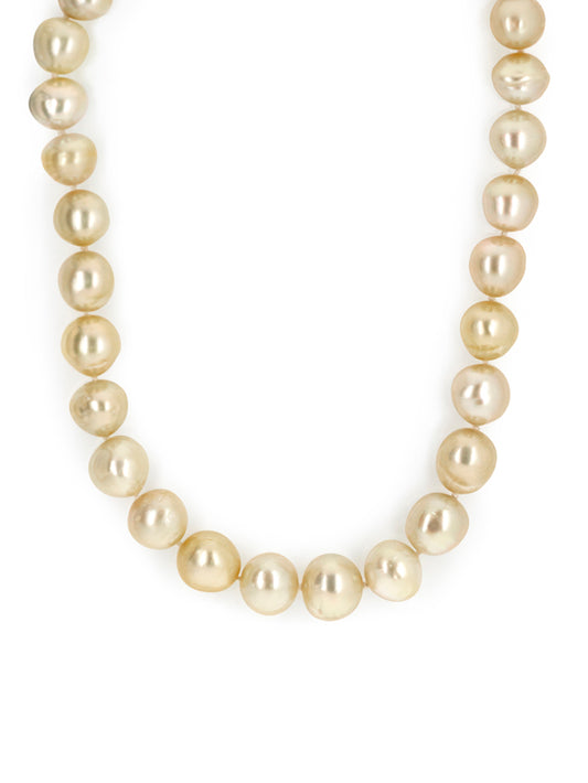 Golden South Sea Pearl Strand. 14K Yellow Gold Clasp, 10.5-13.8mm.