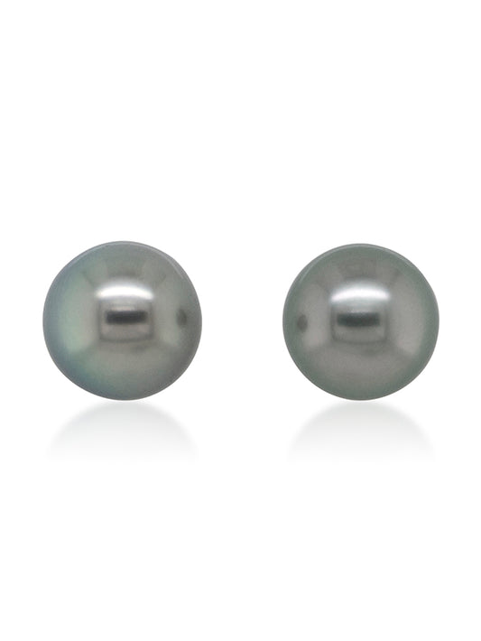 8mm Tahitian Pearl Studs set in 9 Carat Yellow Gold